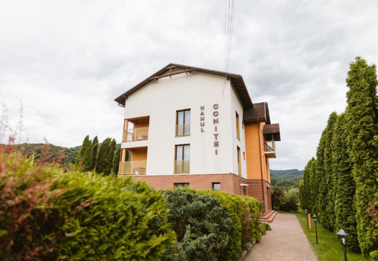 Hanul Conitei Sovata Esterno foto
