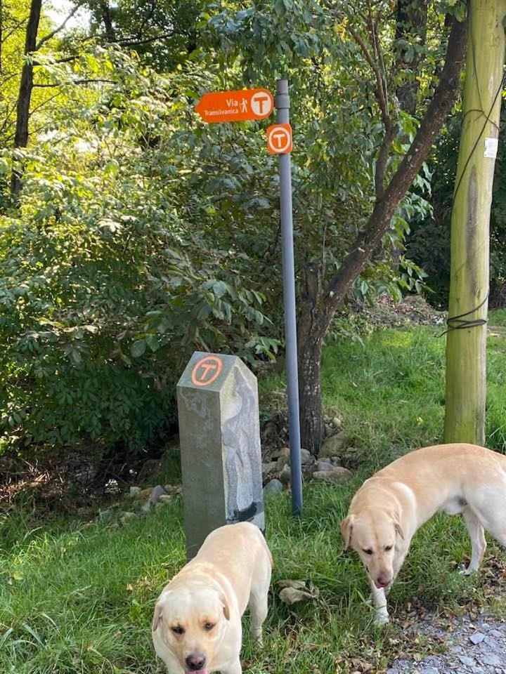 Hanul Conitei Sovata Esterno foto