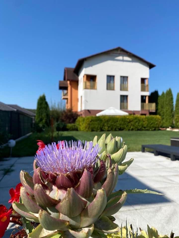 Hanul Conitei Sovata Esterno foto